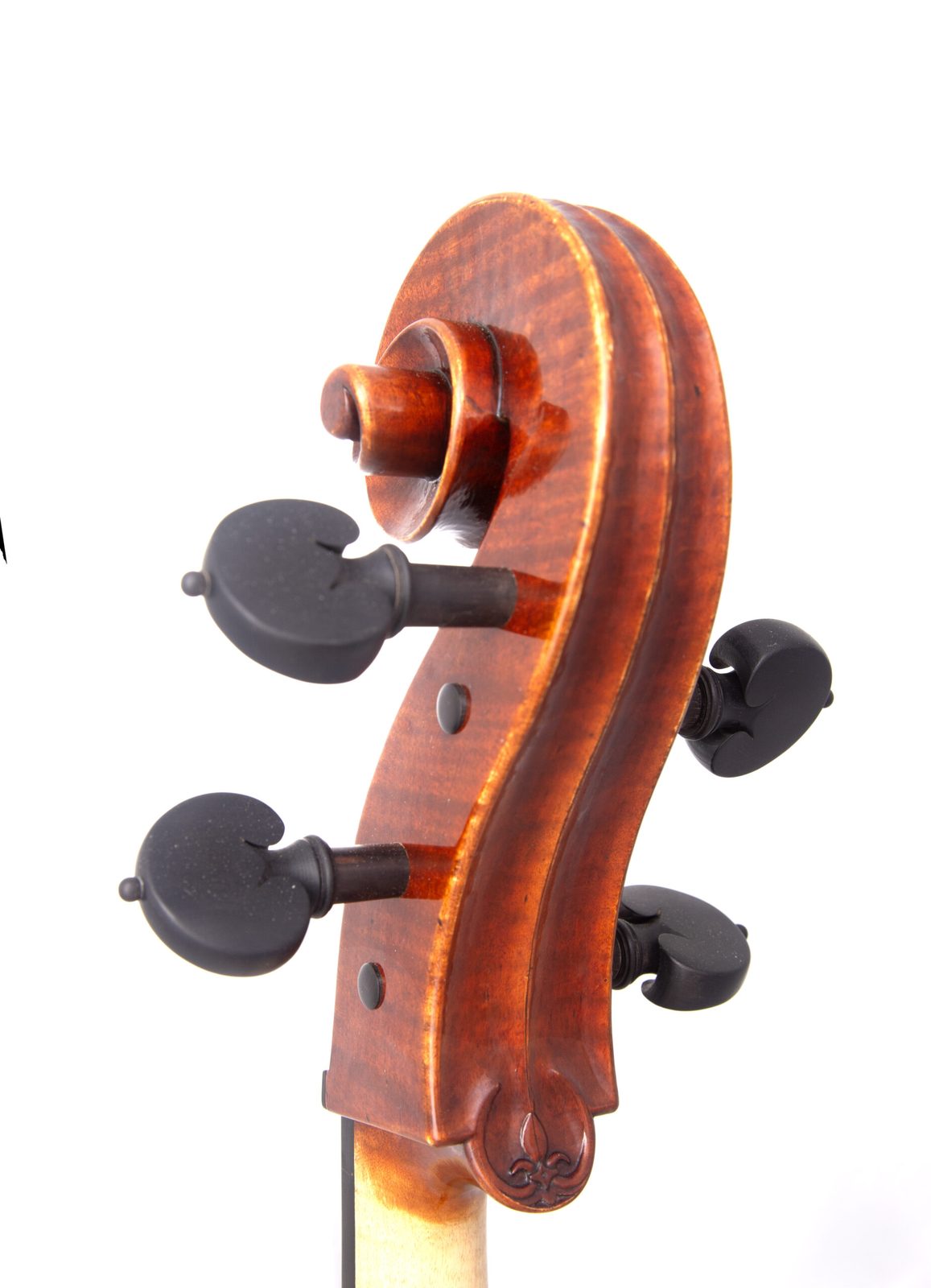 Voluta del violonchelo
