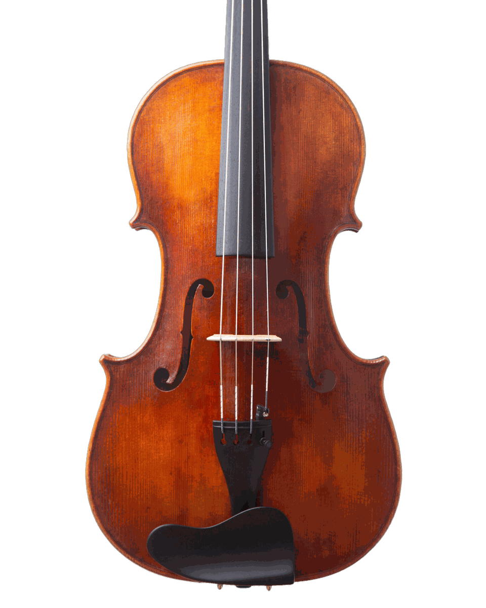 Viola — frente