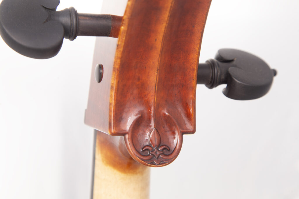 detalle cabeza atras